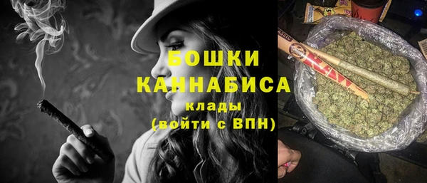 ECSTASY Липки