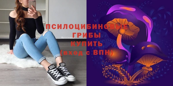 ECSTASY Липки