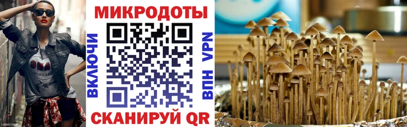 Псилоцибиновые грибы мухоморы  купить закладку  Олонец 